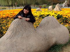 -祥源·阜阳生态乐园