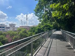-佛山华盖山公园