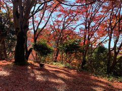 -比叡山