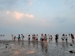 -南汇嘴观海公园