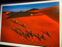 -罗红摄影艺术馆