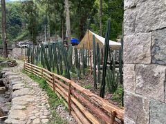 -MOJ coffee(瓯海泽雅水碓坑店)