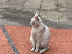 -浙江大学(玉泉校区)