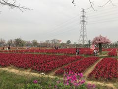 -盈香心动乐园