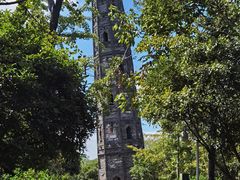 -上海佘山国家森林公园天马山园