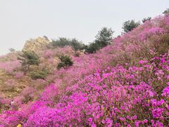 -青岛大珠山景区