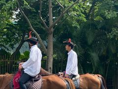 -美的鹭湖森林度假区