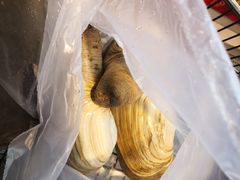 -盒马鲜生(大成店)
