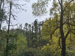 -青龙山国家森林公园