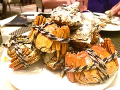 -新发展亚太JW万豪酒店·福苑咖啡厅