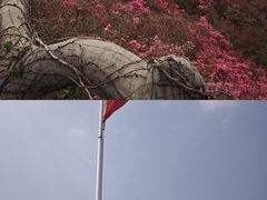 -木兰云雾山