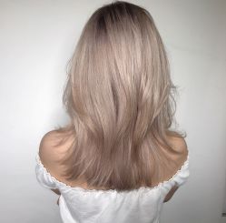 -SALON V