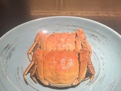 -庐灶江南·江南菜·四合院Bistro(东直门雍和宫·原华侨宾馆店)