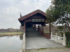 -上海海湾国家森林公园