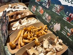 -芸山季·云南山珍菌火锅(人民广场来福士店)