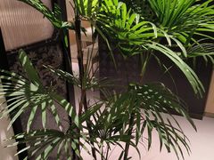 -鑫花溪牛肉米粉(凤凰街创始总店)