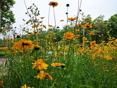 -白塘生态植物园