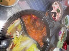 -朱光玉火锅馆(龙阳广场店)