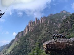 -三清山风景名胜区