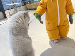 -怪兽屋·羊驼·猫咖·狗咖(俊华广场店)