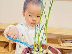 -金点蒙氏国际教育(悠然校区)