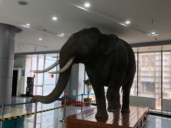 -吉林省自然博物馆