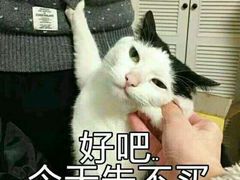 -超悦铜锣湾KTV(绍兴袍江店)