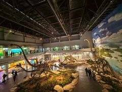 -自贡恐龙博物馆