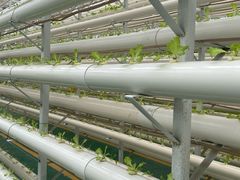 -兰陵国家农业公园