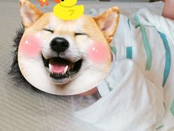 点击看大图 -baby bella小贝拉母婴护理中心(杭州凯宾斯基店)