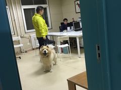 -北京观赏动物医院·24小时大型综合·猫专科·异宠专科