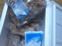 -沈阳水产批发市场