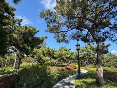 -青岛海滨风景区