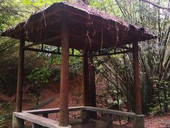 -滴水岩森林公园