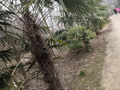 -华阳洞风景区