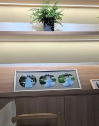 -七色田儿童摄影(静安店)