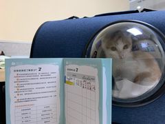 -谐和贝康宠物医院24小时·宠保定点(急重症转诊中心)