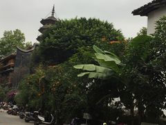 -乌山风景区