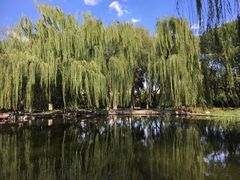 -玲珑塔公园