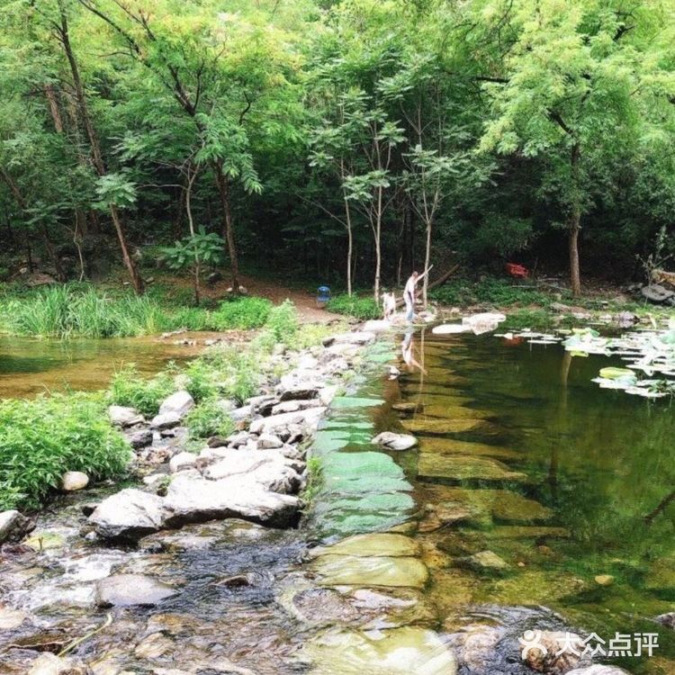 19.9就能带娃体验和恐龙近距离接触的乐园！