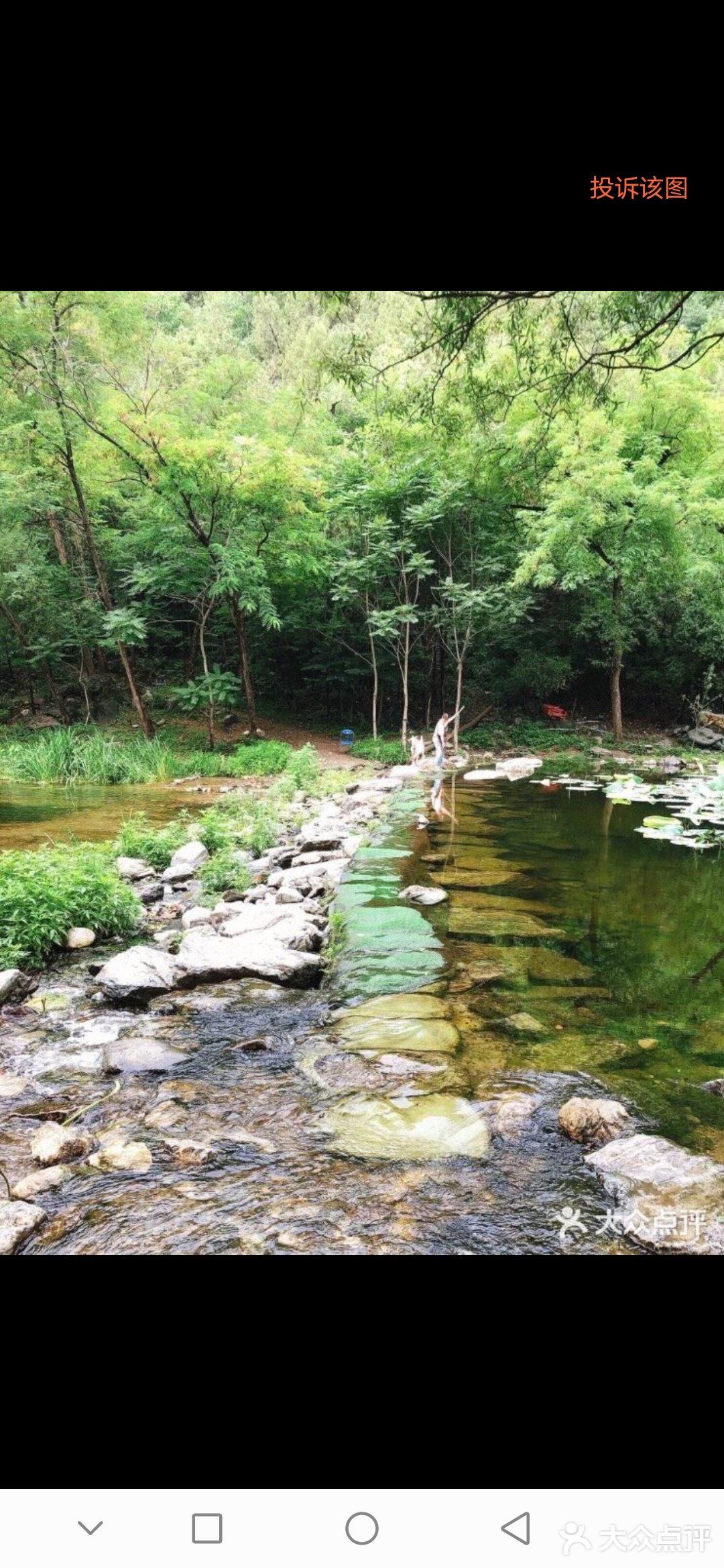 19.9就能带娃体验和恐龙近距离接触的乐园！