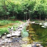 19.9就能带娃体验和恐龙近距离接触的乐园！