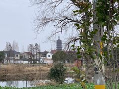 -高旻寺