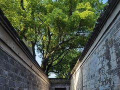 -天一阁博物院