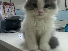 -中农国际动物医院24小时·猫科·骨科·急重症中心