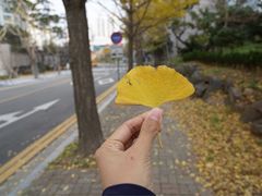 -海云台海滩