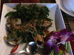 -Daddy Nimman Chiang Mai