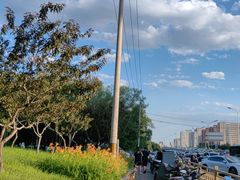 -HIHE Bistro·Oyster Bar(华熙live店)