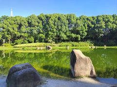 -美兰湖景区