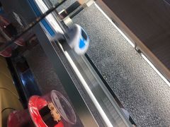 -京樽回転寿司(奥林匹克店)